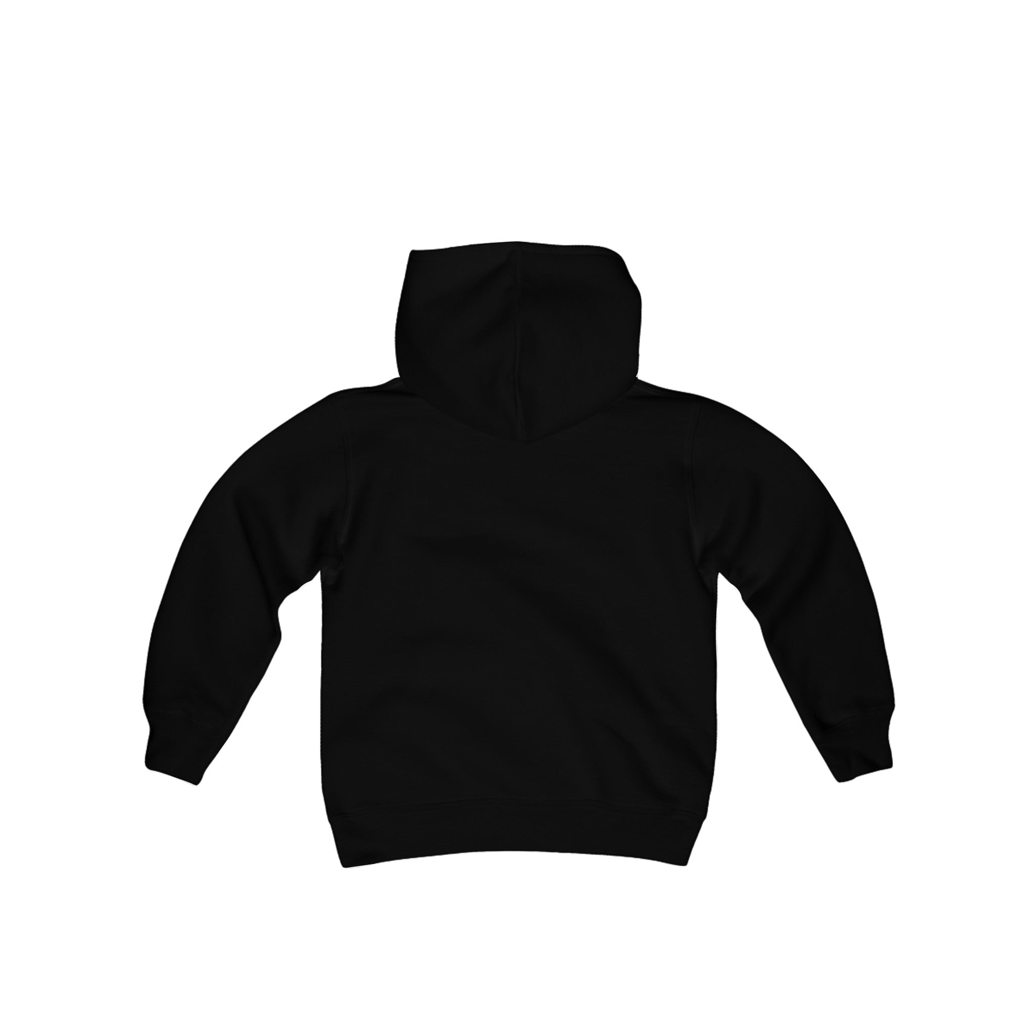 Two Speed Motorsports Horizontal logo Youth hoodie