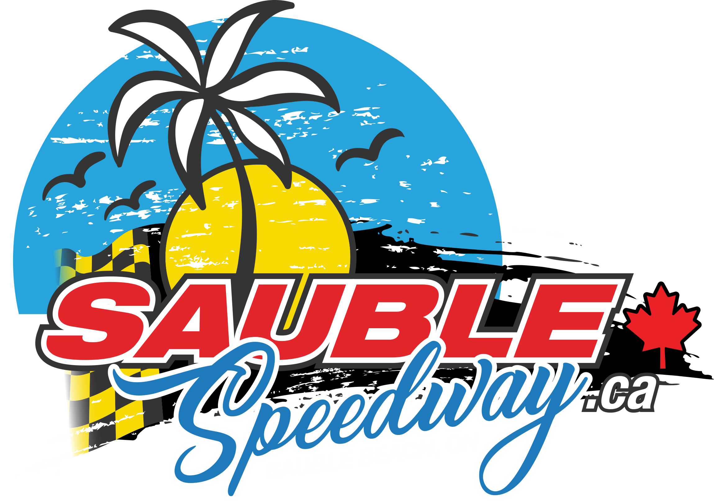 Sauble Speedway Men's T-Shirt